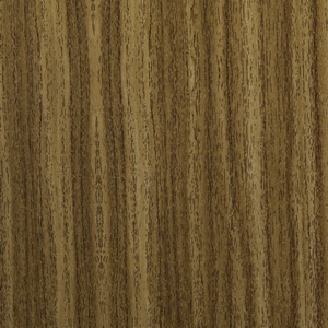 White-washed-Acacia