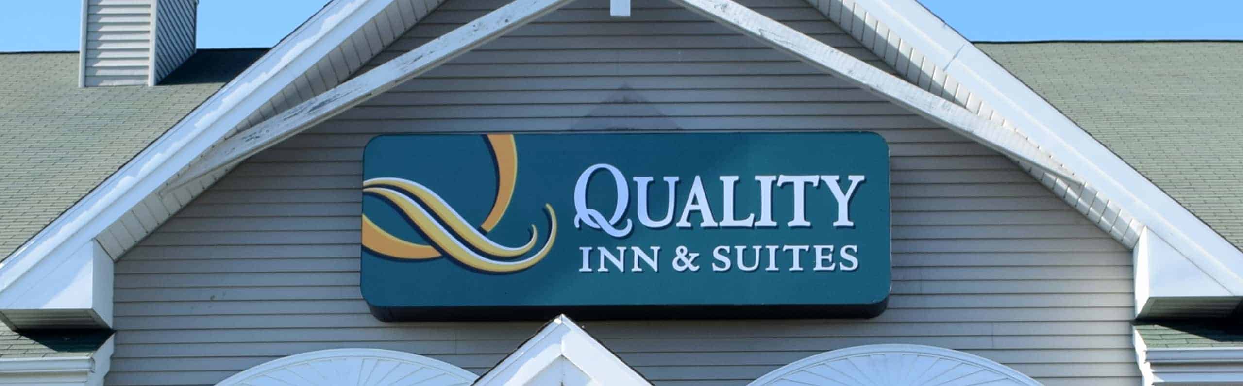 Quailtyhero1-min